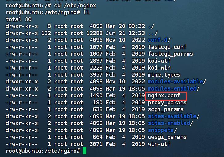 启动nginx