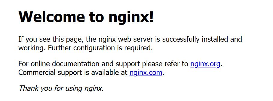 启动nginx